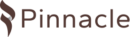 Pinnacle Misr Logo 2023 version