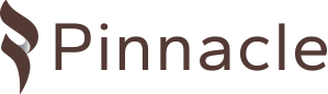 Pinnacle Misr Logo 2023 version