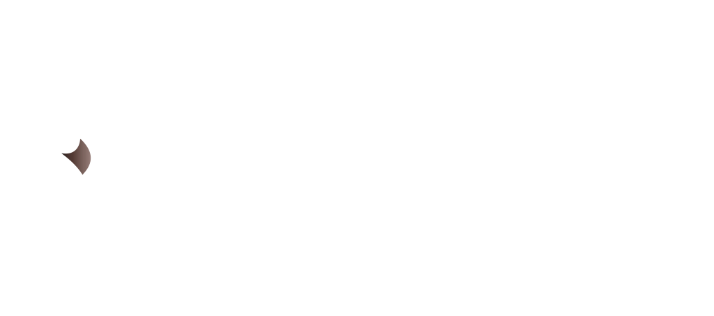 Pinnacle's 20th Anniversary Logo | Pinnacle